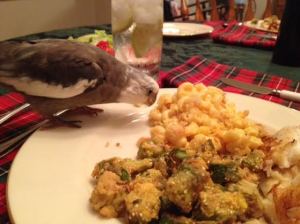 The first thing you want to do is examine the noodles closely to find the one with the best possible trajectory.