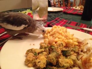 If need be, sampling one can determine overall consistency and "flingability" (a technical term).