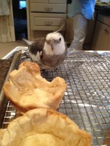 Whoa. Grandma's making shells again.