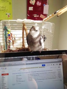 Helllooooooo....Earth to Mommy.......!