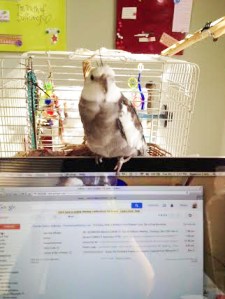 Well, shoot. I'll just stay right here. When she moves it is all MINE.