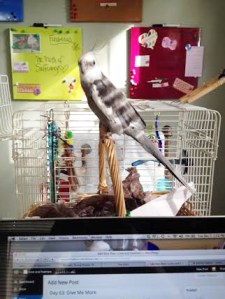 Mom, I want it. Give it to me. Give it to me now.