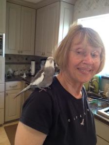 Next, perch on the one who will be providing all the delicacies for the day.