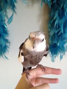 Notice how smooth andall the way to the neck line.