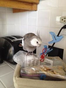 This looks like a great seat! I wonder why no one has claimed it yet?