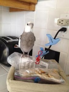 Oh - another guest is approaching. I'll just let her know this seat is taken.