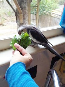 I can only imagine how pretty I am looking right now - must be very pretty, because Mom keeps flashing that small light at me again and again!