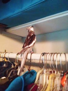 First, prepare yourself for your big move.