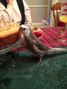 I'll just sample some and see. 