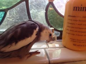 First, make a courtly bow. 