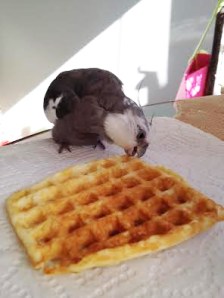 Next, you can delicately sample a morsel.