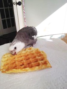 If the dish is very good, you will want to sample it in as many places as possible to let other diners know they need to get their own.