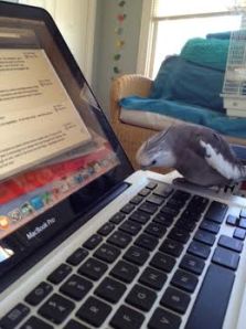 And may I just say how lovely I....er, I mean you....are looking today.