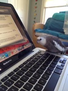 Well I hope to see me....um, I mean you....again soon.