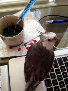 Whoops. Mom has "that look" again.