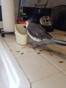 Boy do I love sunflower seeds.