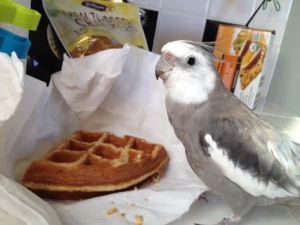 This "take out" dish looks oddly familiar.
