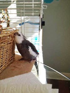 The best architects can visualize the completed project before even starting. So they are confident enough to jump right in.