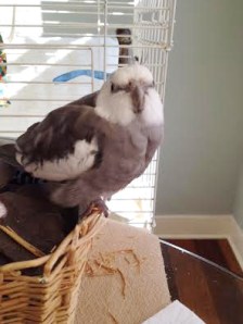 Even if you might feel like having a nap after finishing a demanding project, it is only courteous to pose for your fans first.