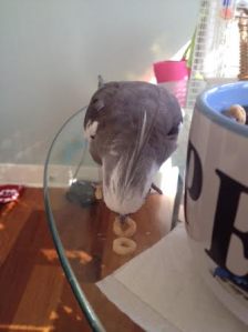 Let's make it two Cheerios.