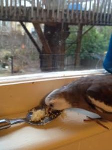 I'll just have a few more tastes - just to be sure.