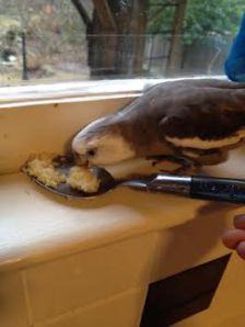 Sure, Mom, I'll be happy to taste-test it for you - we both know I have the keener palate.