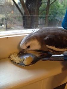 My, my. This looks delicious!