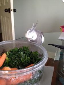 First, walk confidently up to the dish and make direct eye contact.