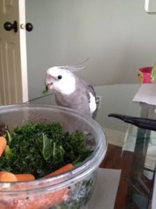 Now you can "manhandle" it a bit to keep the intimidation factor high.