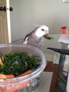 Shaking it back and forth is a great way to show it who is boss.