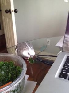 You can also drag choice morsels off to one side so you can enjoy them fully.