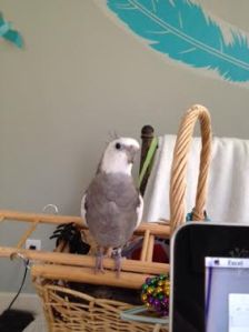Here I am - directly in her line of sight. She can't miss seeing me.
