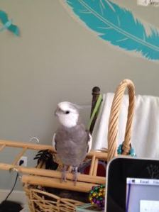 The more disapproving you can look, the faster she will "get" what is missing in this picture.