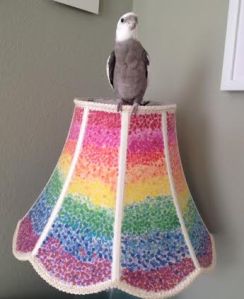 Yes, go ahead and take a picture - that way you can remember what to do for next time.