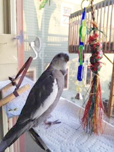 Oh! My goodness! So PRETTY!!