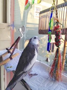 Wow - this vision just gets lovelier and lovelier the longer I gaze at it!