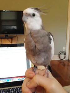 Another great shot - I can just feel it.