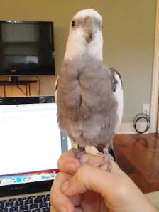 Okay, Mom, just one more for the road.