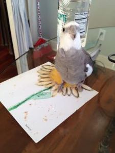 Wow, Mom! So thoughtful! 