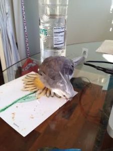 But it doesn't taste like I expected it to.