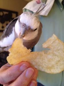 Yes, I think I'll try that salty edge next.