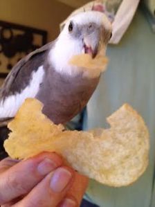 Ok, ok - I'll do a posed shot now, Mom.