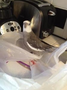 No wonder Mom looks so proud - I vanquished it so quickly!