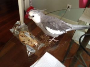 Oh! This looks thin and crisp! I'll have to try some!