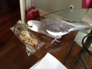 Here is the part Mom always misses out on - the delicate clear crinkly bits.