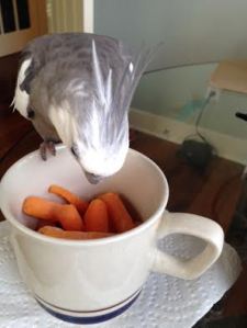 Hmmm. THIS is the dish Mom doesn't want me to sample?