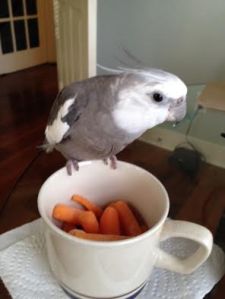 Mom, even a casual inspection suggests this dish is not delicious.