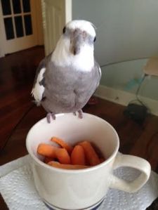 Nice try, Mom, but they're all yours.