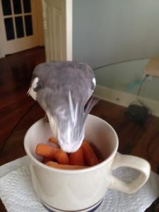 And these are neither crunchy nor crispy. Plus the bowl is quite small and narrow....not very comfortable seating for a gourmand such as myself.