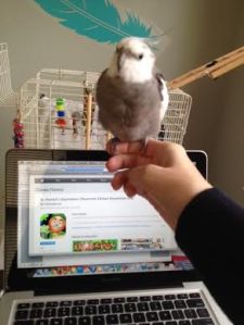 Oh good - she processed my order right away this time.